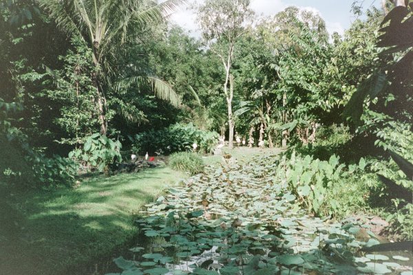 Singapore Zoo