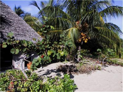 Kamalame Cay, Andros Island Bahamas