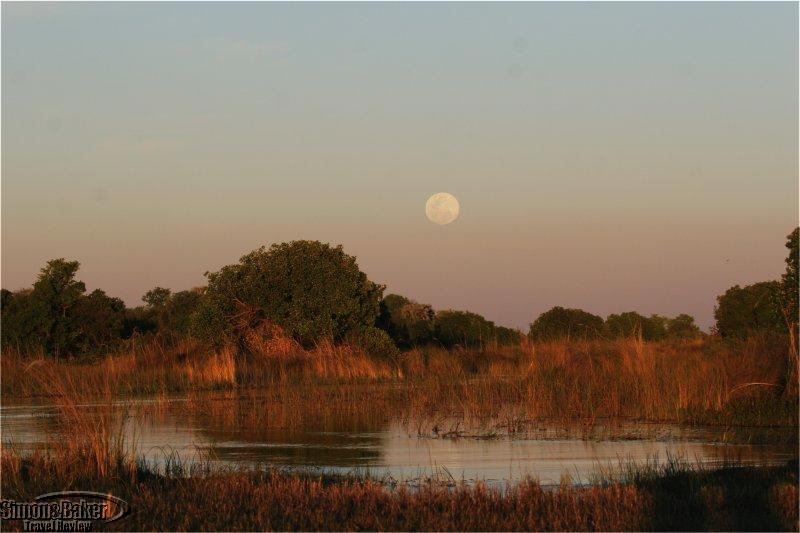 Camp Okavango – The Okavango Delta, Botswana