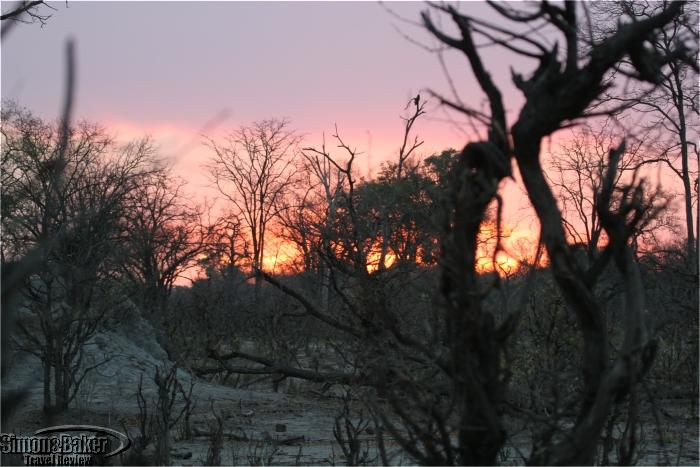 Kings Pool Camp, The Linyati/Savuti Channel