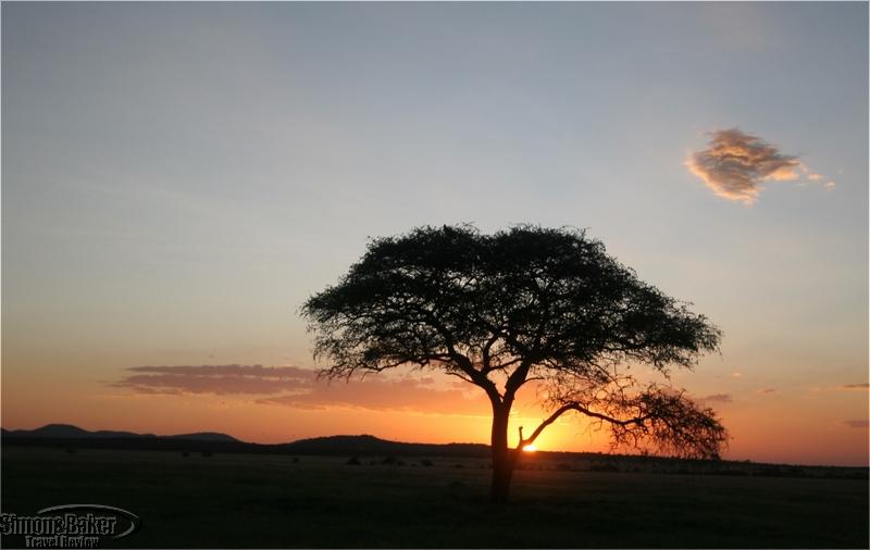 Sabora Plains Tented Camp