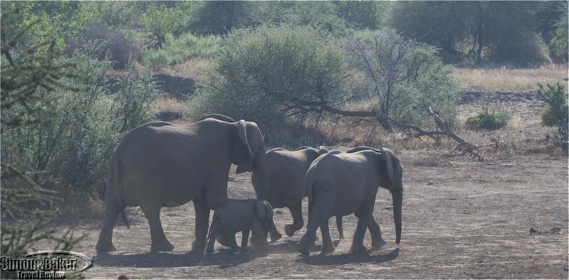 Mashatu Main Camp at Mashatu Game Reserve