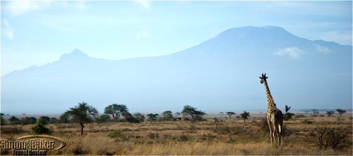 Amboseli Porini Camp