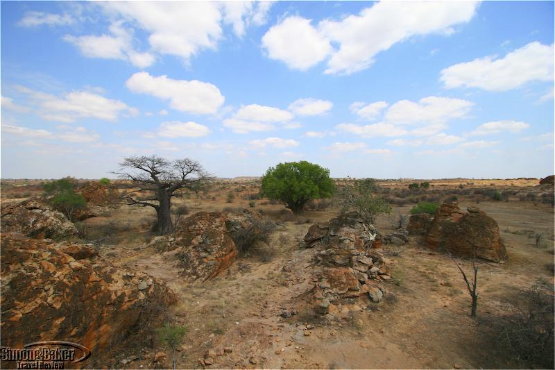 Tuli Safari Lodge