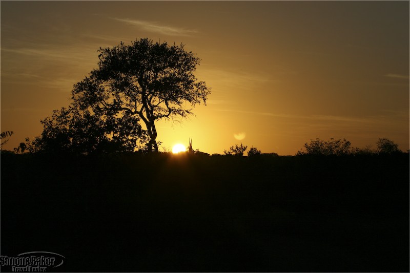 Thornybush Game Lodge